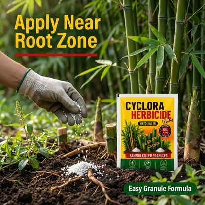 🌿✨ CYCLORA HERBICIDE BAMBOO KILLER GRANULES ✨🌿( BUY 1 GET 1 FREE )