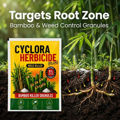 🌿✨ CYCLORA HERBICIDE BAMBOO KILLER GRANULES ✨🌿( BUY 1 GET 1 FREE )