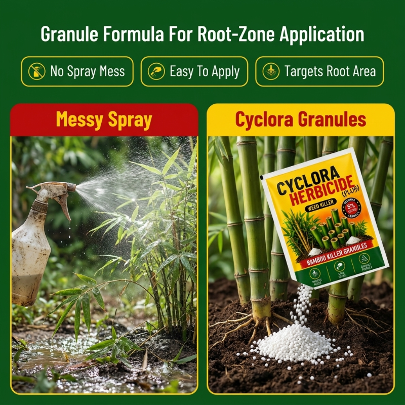 🌿✨ CYCLORA HERBICIDE BAMBOO KILLER GRANULES ✨🌿( BUY 1 GET 1 FREE )