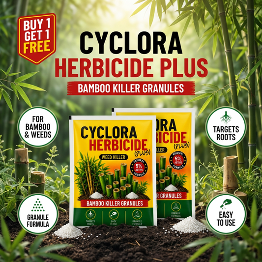 🌿✨ CYCLORA HERBICIDE BAMBOO KILLER GRANULES ✨🌿( BUY 1 GET 1 FREE )